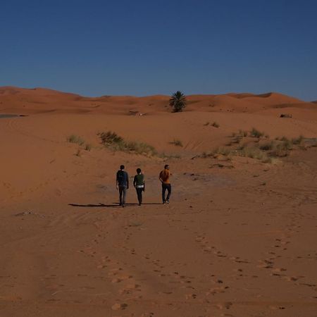 Bivouac Camel Trips Hotell Merzouga Eksteriør bilde