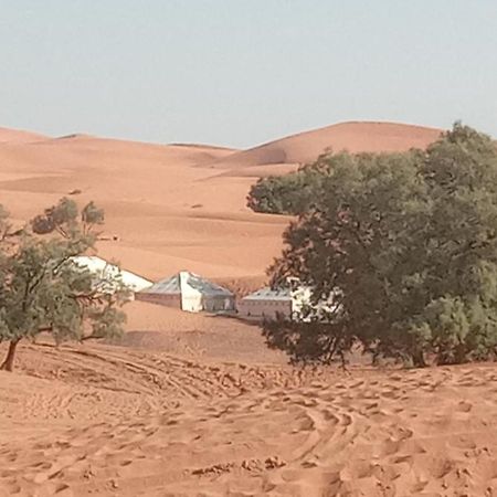 Bivouac Camel Trips Hotell Merzouga Eksteriør bilde