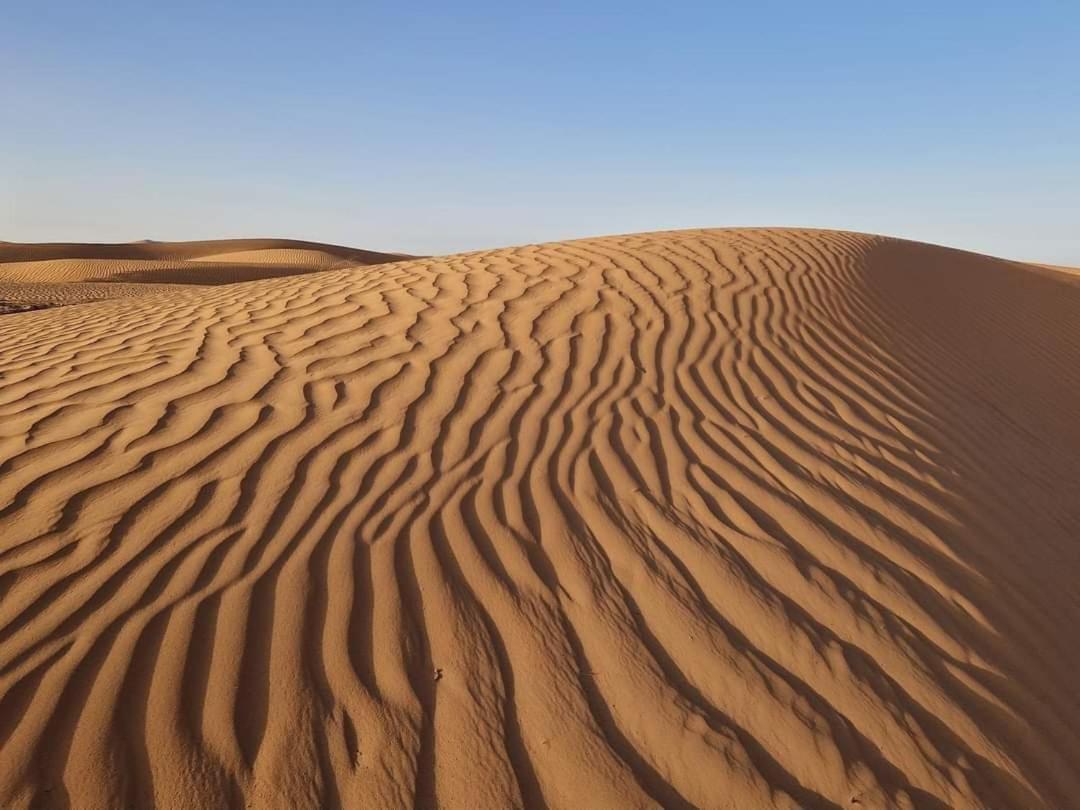Bivouac Camel Trips Hotell Merzouga Eksteriør bilde