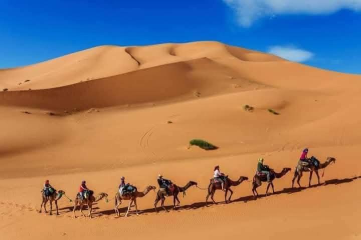 Bivouac Camel Trips Hotell Merzouga Eksteriør bilde
