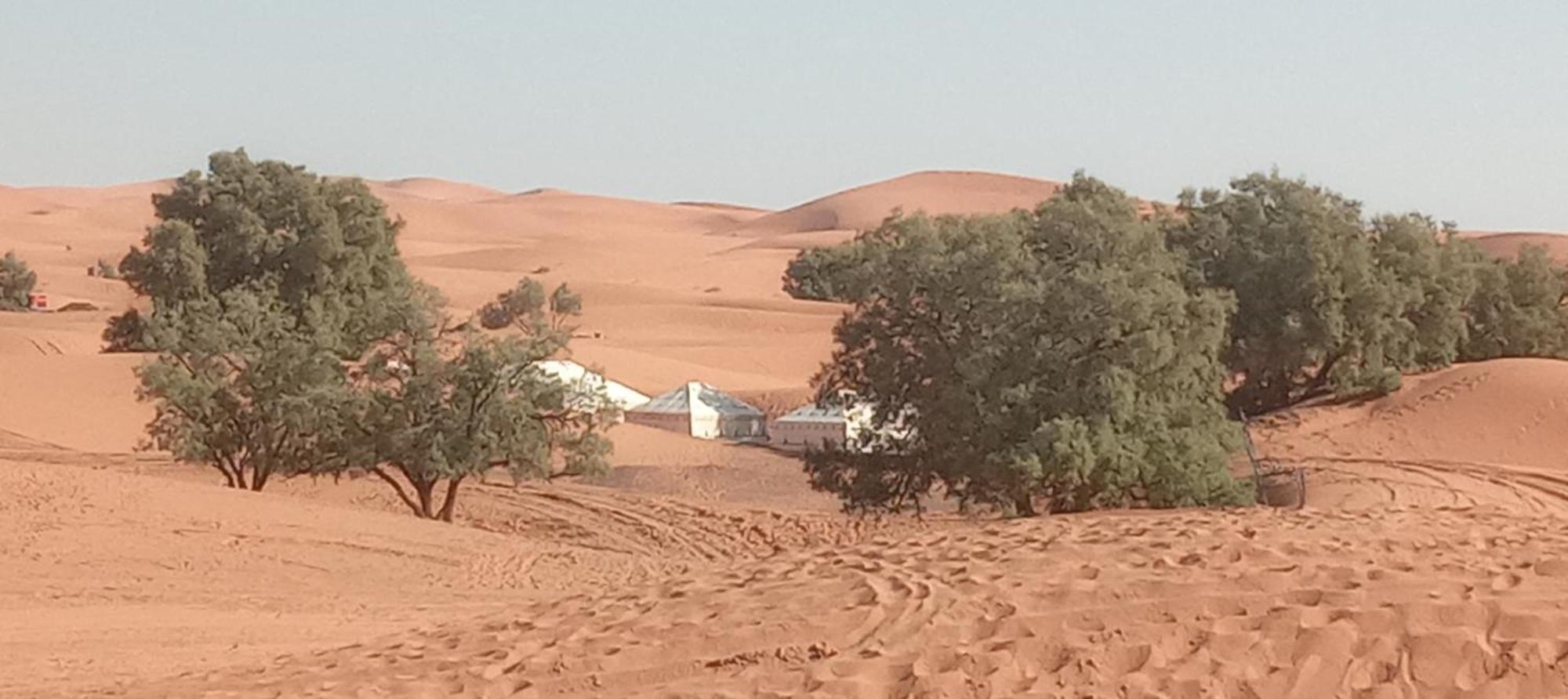 Bivouac Camel Trips Hotell Merzouga Eksteriør bilde