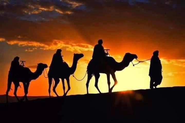 Bivouac Camel Trips Hotell Merzouga Eksteriør bilde