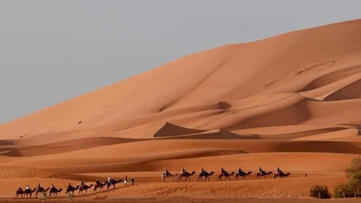 Bivouac Camel Trips Hotell Merzouga Eksteriør bilde
