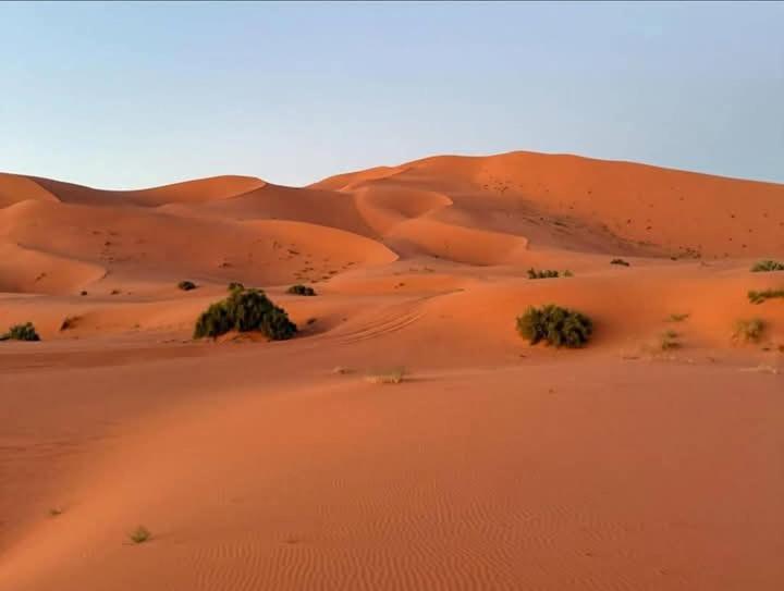 Bivouac Camel Trips Hotell Merzouga Eksteriør bilde