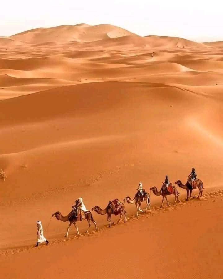 Bivouac Camel Trips Hotell Merzouga Eksteriør bilde
