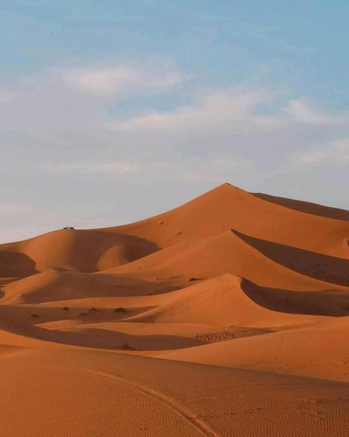 Bivouac Camel Trips Hotell Merzouga Eksteriør bilde