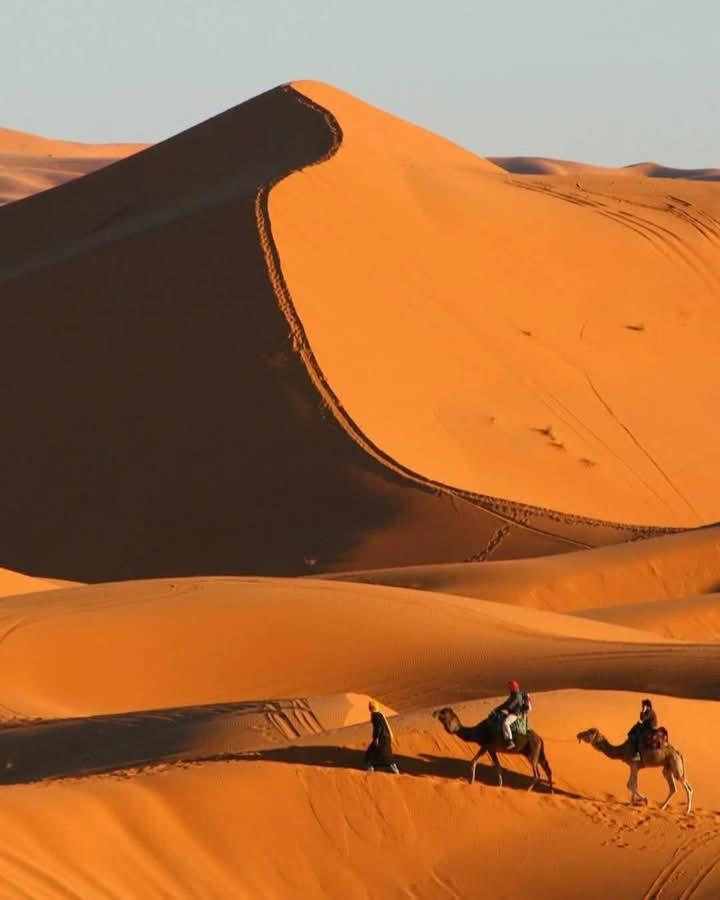 Bivouac Camel Trips Hotell Merzouga Eksteriør bilde