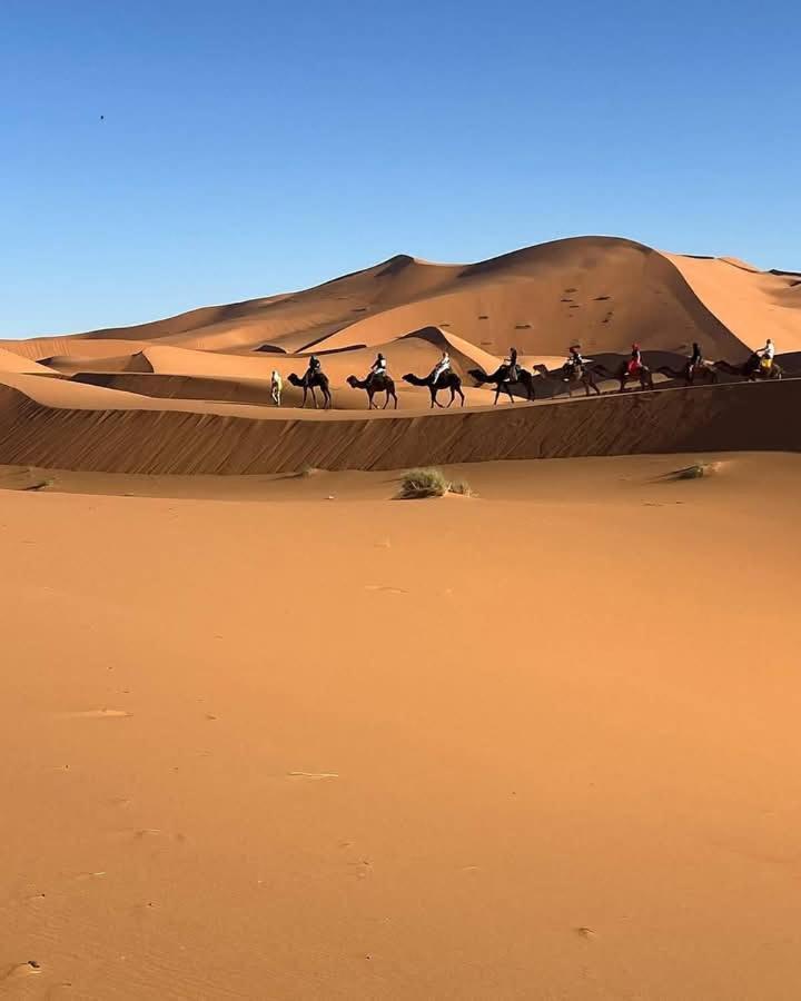 Bivouac Camel Trips Hotell Merzouga Eksteriør bilde